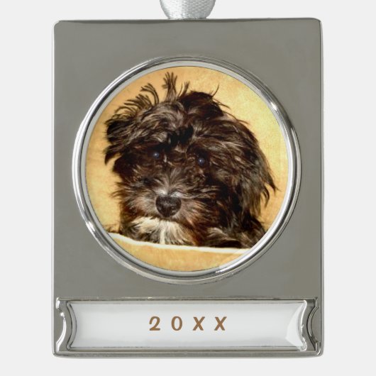 Schnoodle Dog Banner Ornament (Vorderseite)