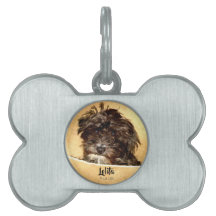 Schnoodle Dog Bone geformt