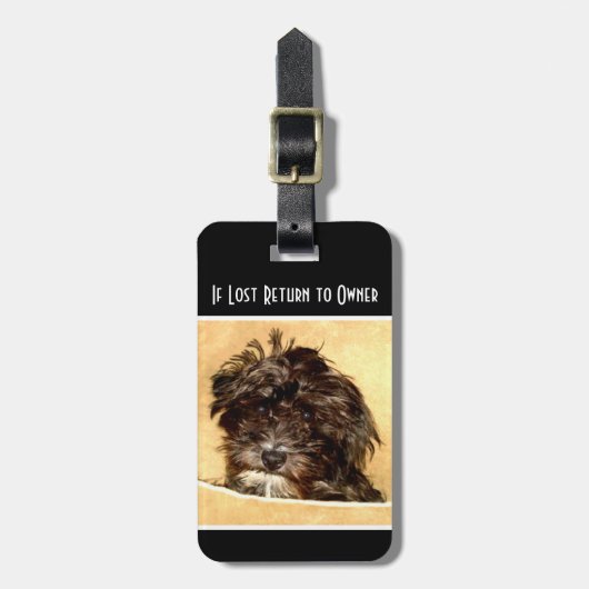 Schnoodle Dog Gepäckmarke Gepäckanhänger (Vorderseite vertikal)