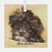 Schnoodle Dog Glass Ornament (Vorderseite)