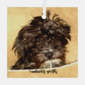 Schnoodle Dog Glass Ornament Aus Glas (Rückseite)