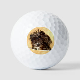 Schnoodle Dog Golfball
