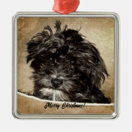 Schnoodle Dog Ornament Aus Metall