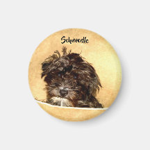 Schnoodle Dog Round Magnet