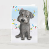 Schnoodle Feiertagskarte (Vorderseite)