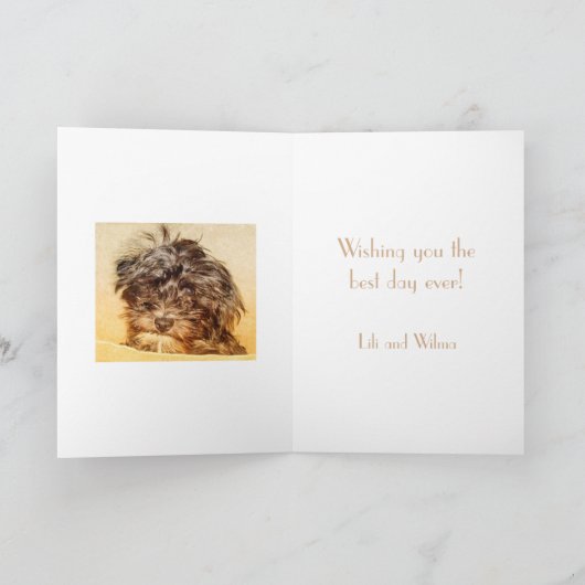 Schnoodle Geburtstagskarte Karte (Innenseite)