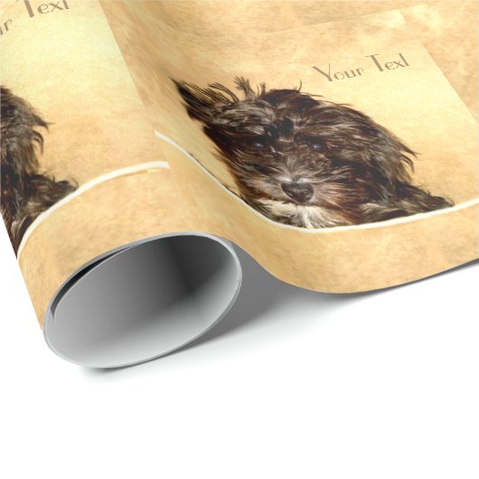 Schnoodle-Geschenkpapier Geschenkpapier (Rolleneckpunkt)