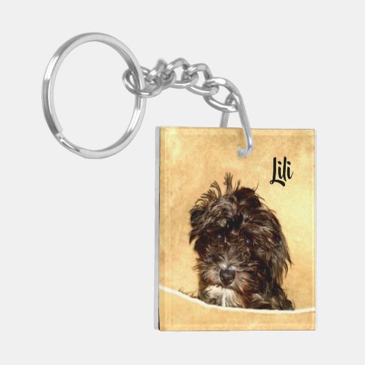 Schnoodle Hund beidseitig Schlüsselanhänger (Vorderseite links)