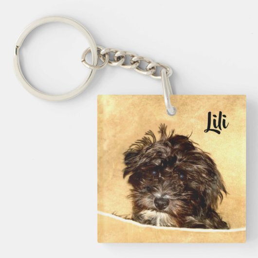 Schnoodle Hund Doppelseitig Schlüsselanhänger (Vorderseite)
