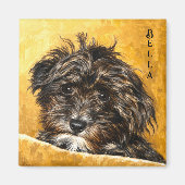 Schnoodle Hund Magnet (Vorne)