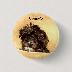 Schnoodle-Hunde-Button Button