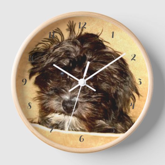 Schnoodle Hundeschleife mit Holzrahmen Uhr (Vorderseite)