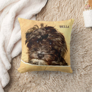 Schnoodle-Hundeschleuderkissen mit Text Kissen
