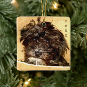 Schnoodle Keramik Ornament