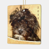 Schnoodle Keramik Ornament (Links)