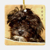 Schnoodle Keramik Ornament (Vorderseite)