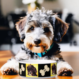 Schnoodle Medium Dog Bowl Personalisiert Napf