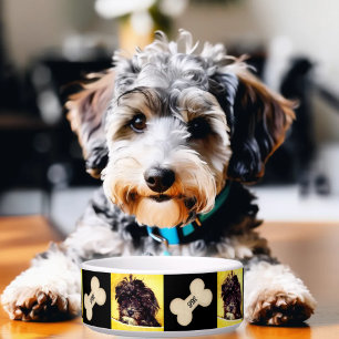 Schnoodle Medium Dog Bowl Personalisiert Napf