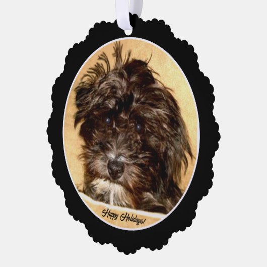 Schnoodle Paper Ornament Card (Links)