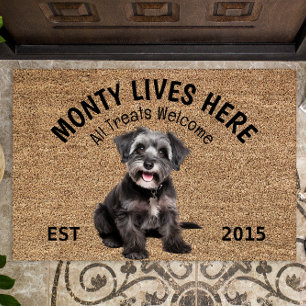 Schnoodle Personalisiert Hund Lover Doormat Fußmatte