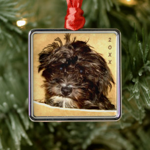 Schnoodle Premium Quadratischer Weihnachtsschmuck