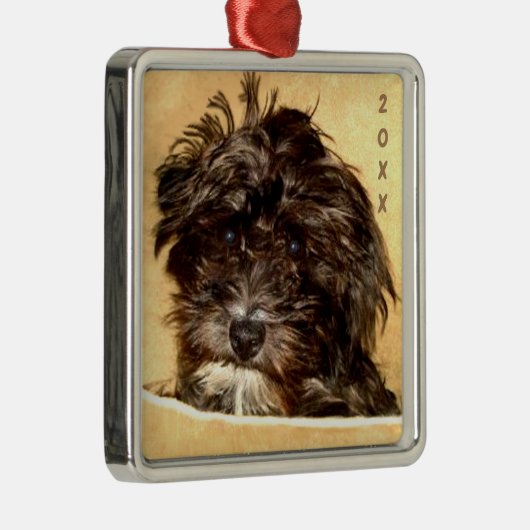 Schnoodle Premium Square Ornament (Rechts)