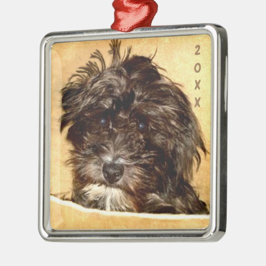 Schnoodle Premium Square Ornament (Links)