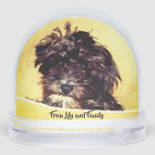 Schnoodle Schneekugeln (Rückseite)