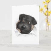 Schnoodle (schwarz) Buckel Karte (Gelbe Blume)