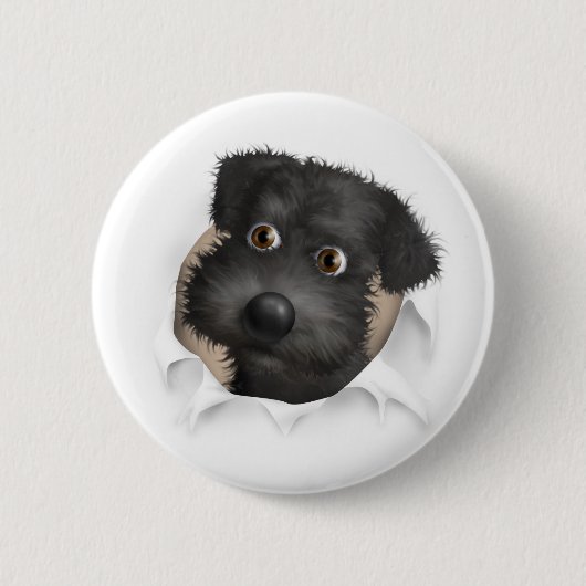 Schnoodle (schwarz) heraus sprengend button (Vorderseite)
