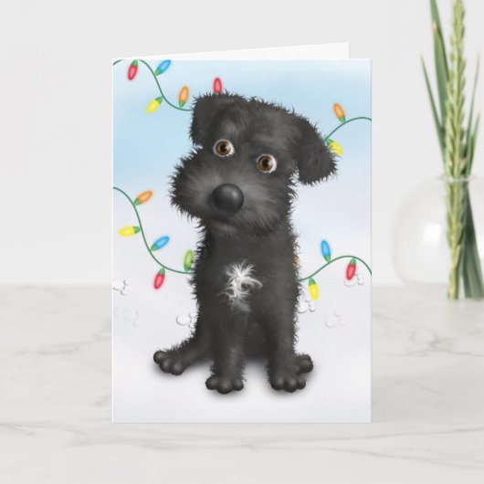 Schnoodle (schwarzes) Weihnachten (Vorderseite)
