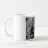 Schnoodle Tasse (Links)