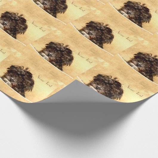 Schnoodle Wrapping Paper Geschenkpapier (Ecke)