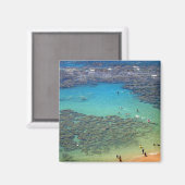 Schnorchel in Hanauma Bay, Oahu, Hawaii Magnet (Vorderseite/Rückseite)
