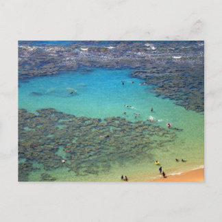 Schnorchel in Hanauma Bay, Oahu, Hawaii Postkarte