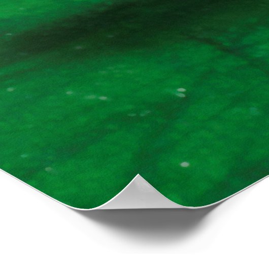 Schnorchel Poster (Ecke)