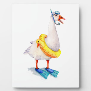 Schnorcheln Fotoplatte