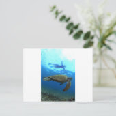Schnorcheln mit Meeresschildkröten Galapagos Insel Postkarte (Stehend Vorderseite)