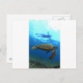 Schnorcheln mit Meeresschildkröten Galapagos Insel Postkarte (Vorne/Hinten)