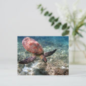 Schnorcheln mit Schildkröte Postkarte (Stehend Vorderseite)