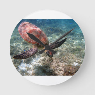 Schnorcheln mit Schildkröte Runde Wanduhr