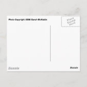 Schnorcheln Postkarte (Rückseite)