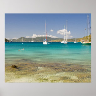 Schnorchler in der idyllischen Bucht Pirates Bight Poster