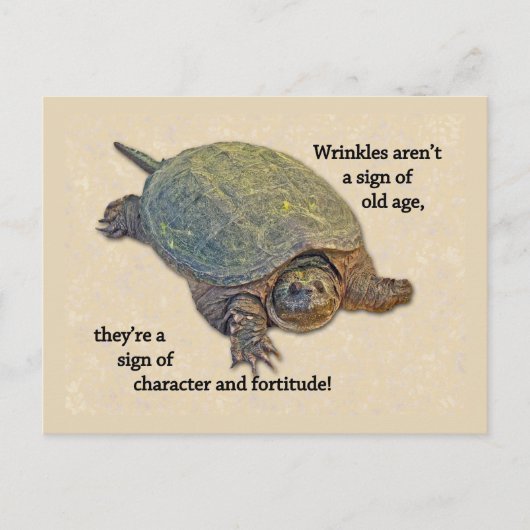 Schnupperschildkröte zerknittert alte Weisheit Postkarte (Vorderseite)