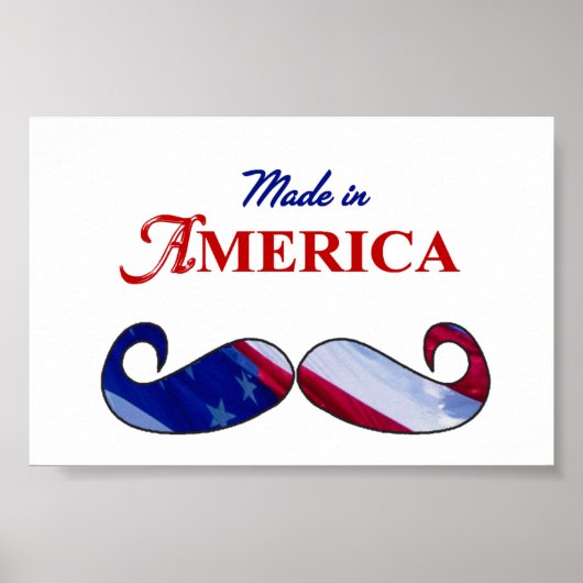 Schnurrbart aus Amerika Poster (Vorne)