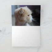 Schnurren-fect persische Katzen-Gruß-Karte Karte (Innenseite)