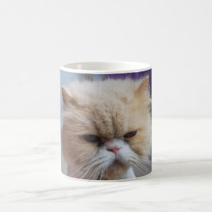 Schnurren-fect persische Katzen-Kaffee-Tasse Kaffeetasse