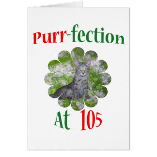 Schnurren-fection 105