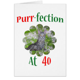 Schnurren-fection 40