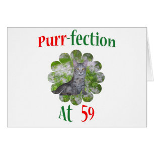 Schnurren-fection 59